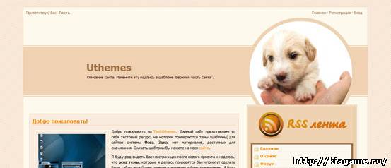 Шаблончик ViceVersa