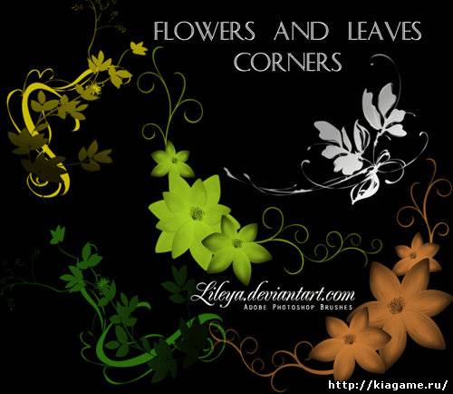 Flowers and Leaves Corners