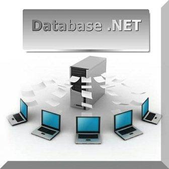Database .NET v.8.8.4934.8 Portable (2013/Rus)