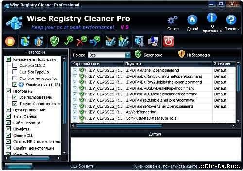 Скачать Wise Registry Cleaner Professional 5.86 Build 328 Rus