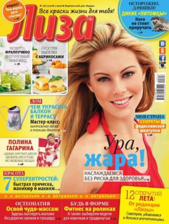 Лиза №28  (2016)