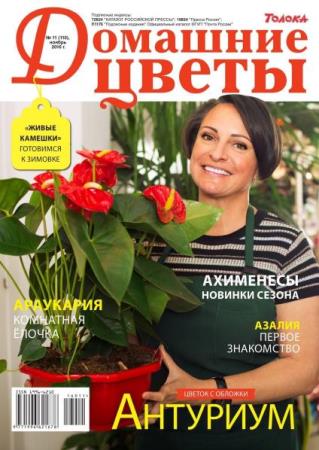 Домашние цветы №11  (ноябрь /  2016)