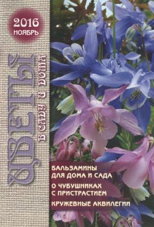 Цветы в саду и дома №11  (ноябрь /  2016)