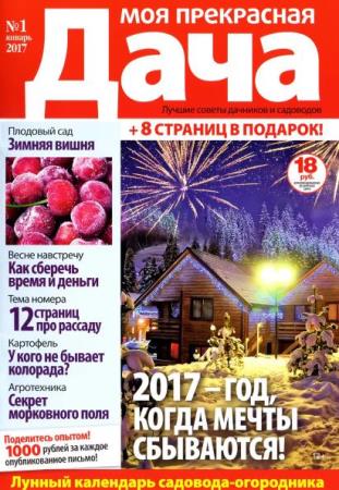 Моя прекрасная дача №1  (январь /  2017)